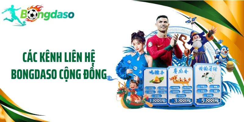 Các kênh liên hệ Bongdaso cộng đồng