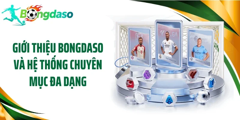 Giới thiệu Bongdaso và hệ thống chuyên mục đa dạng